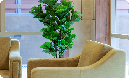 Commitment to Quality