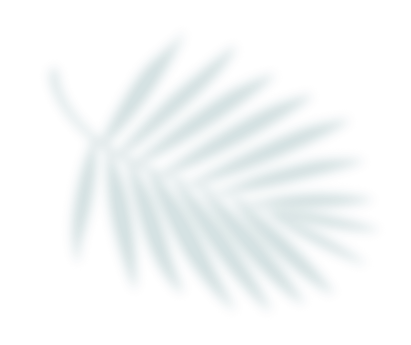 rnQOkr4VvoinbAdybelnK9hrQ